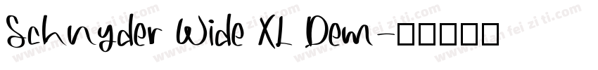 Schnyder Wide XL Dem字体转换